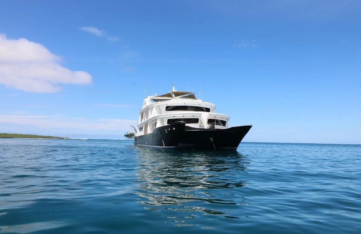 An image of Petrel yacht