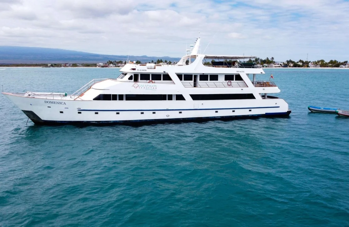 An image of Sea Star yacht
