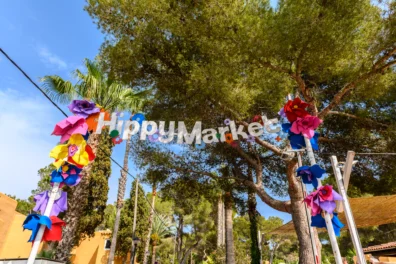 An image of Hippy Market Punta Arabí