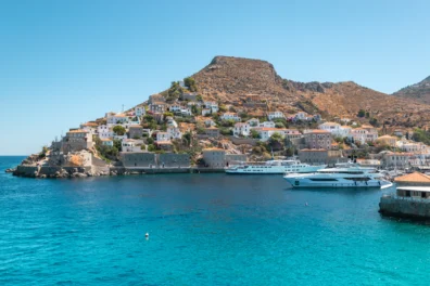 An image of Hydra