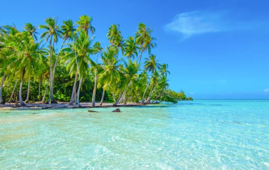 An image of Leeward Islands